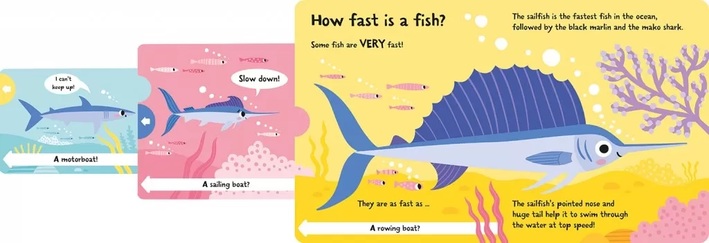 Two pull-out, colourful flaps make for a highly interactive read where there's one surprise after the next.